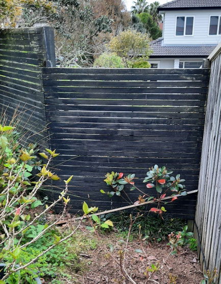The black fence in Loose Slat Gulley showing the top rail knocked off by a leaping pesky cat