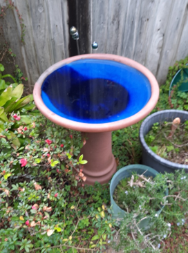 Clean water at last in Bird Bath Spa