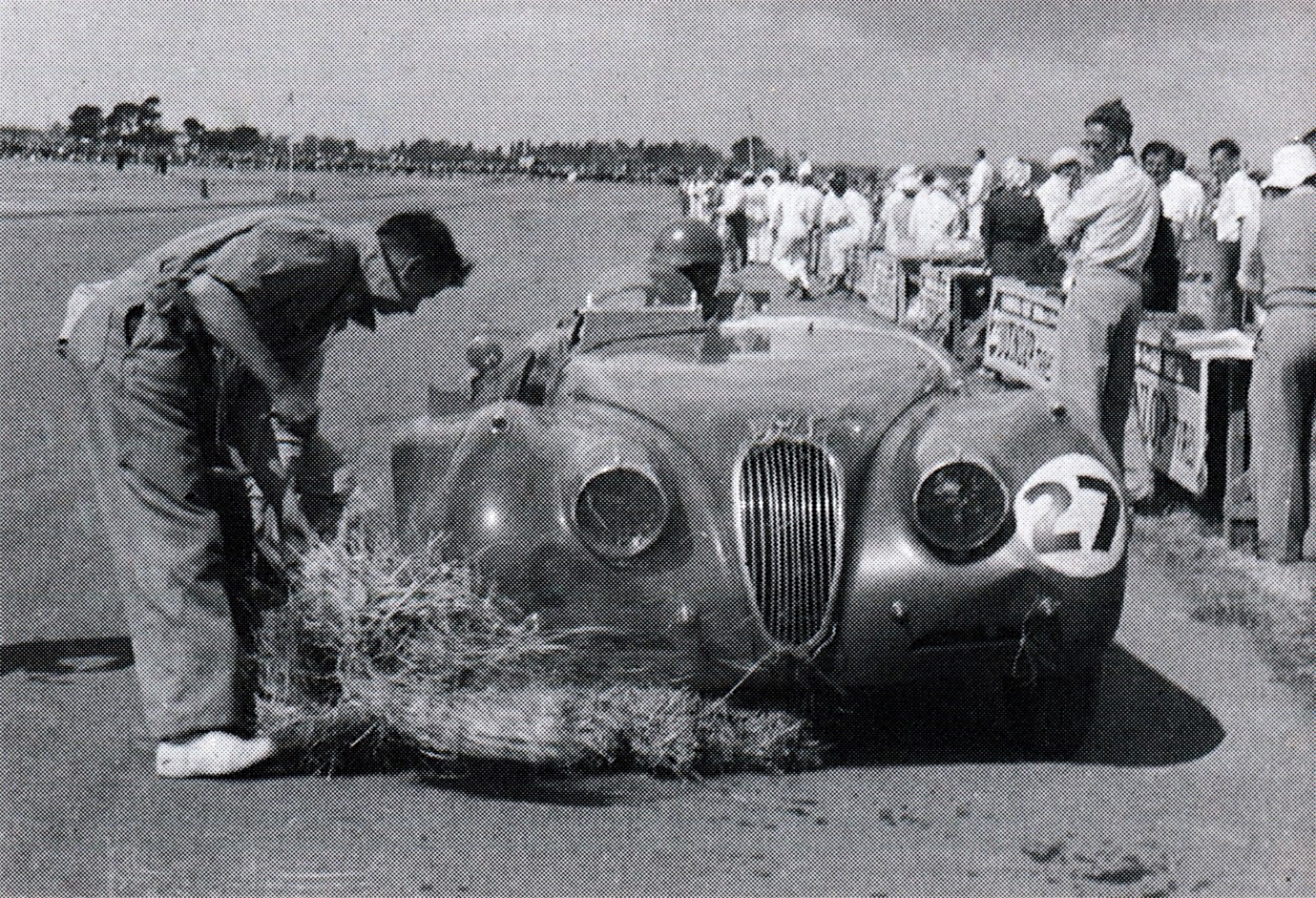 Wigram 6 Feb 54 - Ray Archibald #27 Jaguar XK120 suffered a blown tyre in the Lady Wigram Trophy race, which put him into the hay bales. Here he is in the Pits having the hay removed and the wheel changed – Photo MRC Collection in book Wigram Motor Racing 1949-94